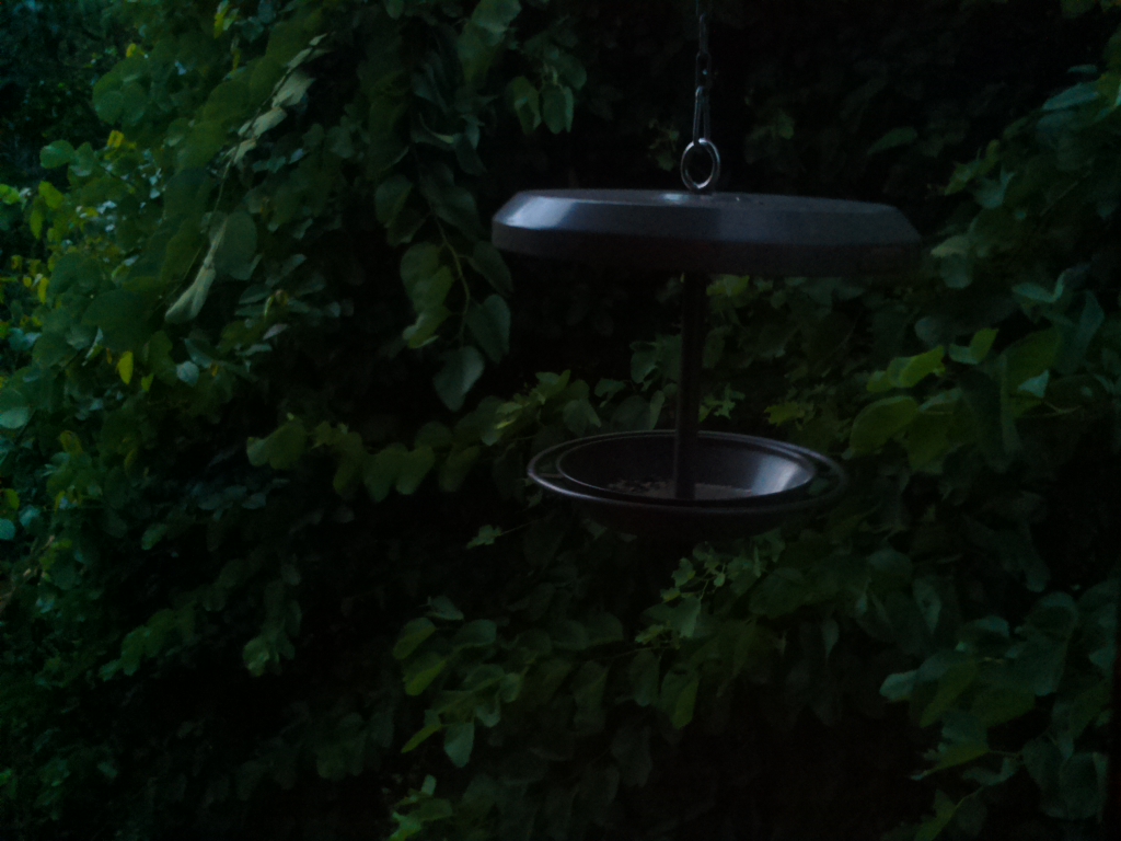Parrot Cam