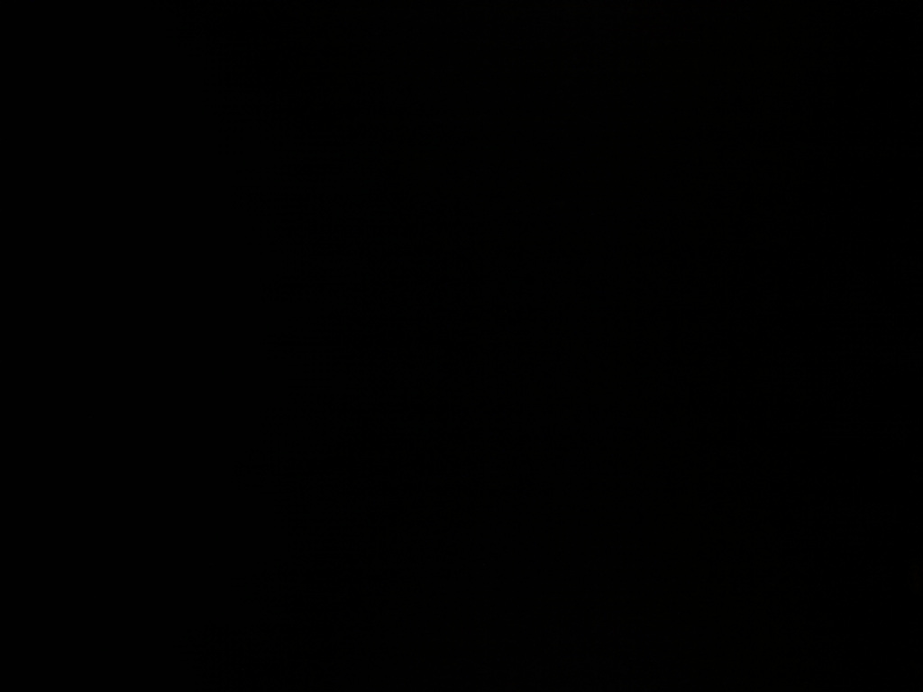 Parrot Cam